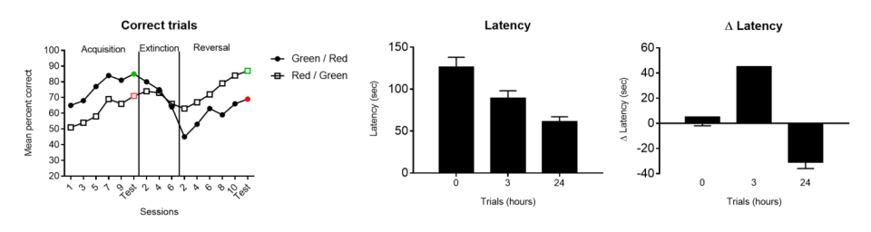 Sample Data